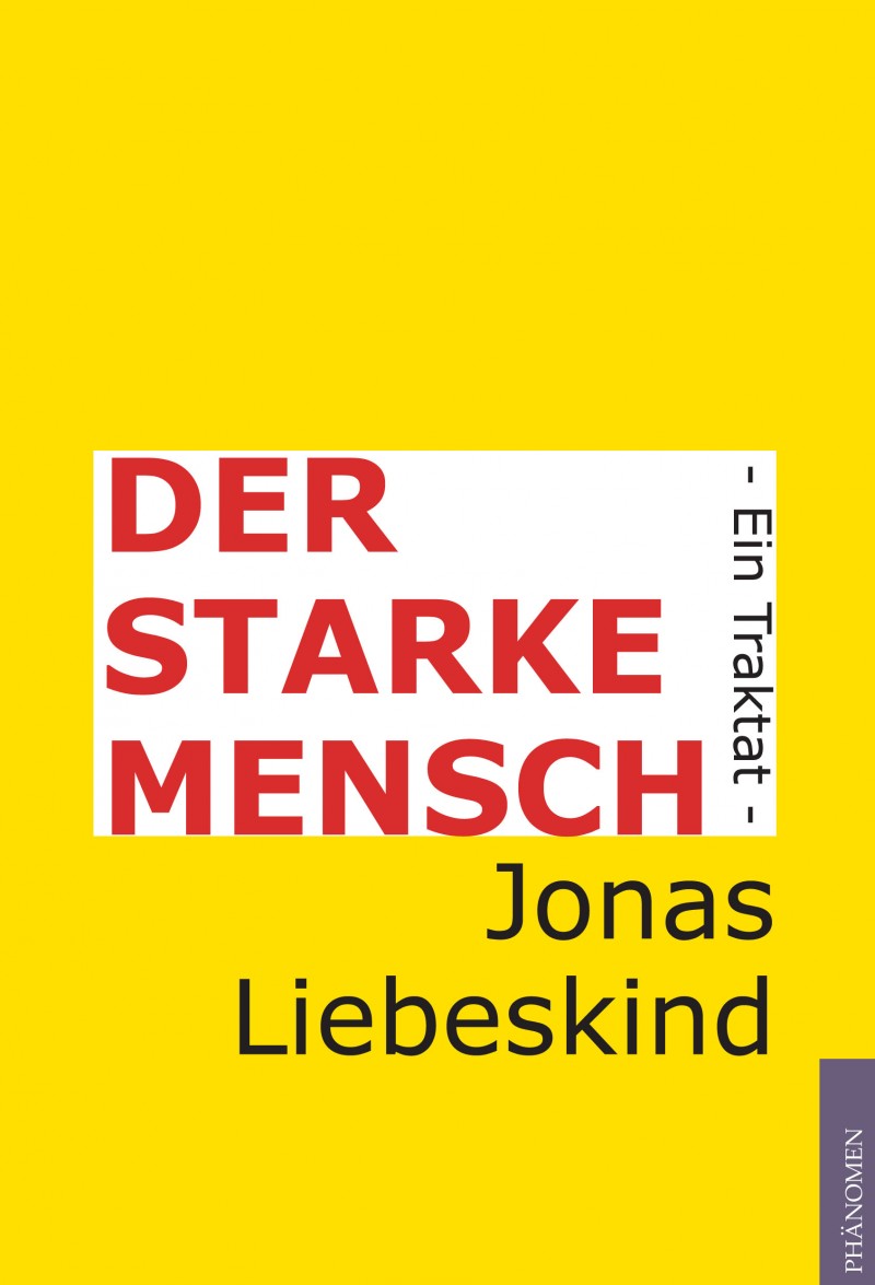 DSM_cover_neu.FH11